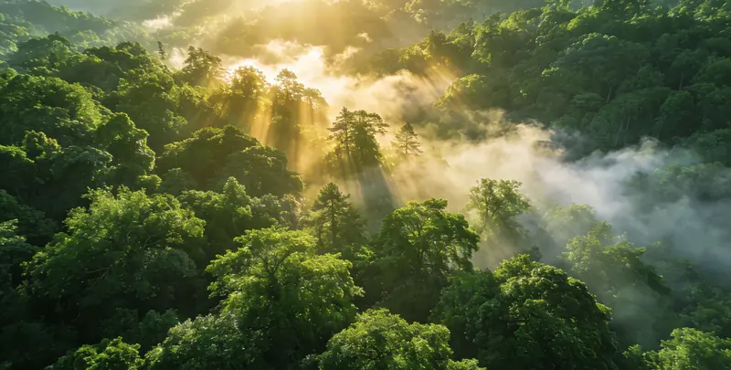 钦州肺癌（EGFR T790M)突变检测图片1