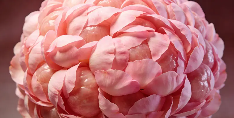 钦州BRCA1/2乳腺癌卵巢癌基因检测图片1